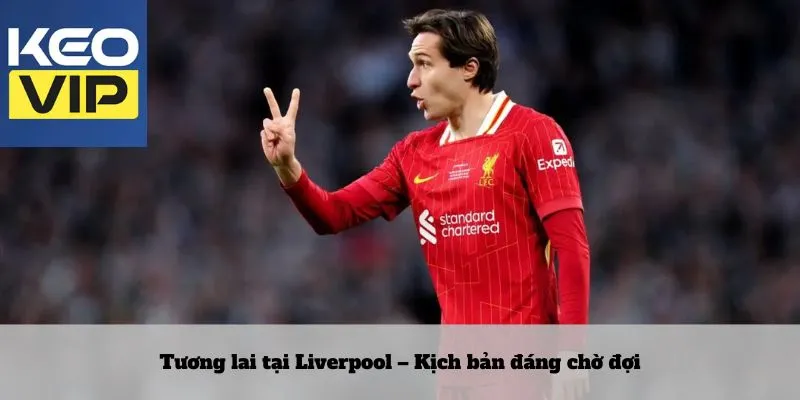 Tương lai tại Liverpool – Kịch bản đáng chờ đợi