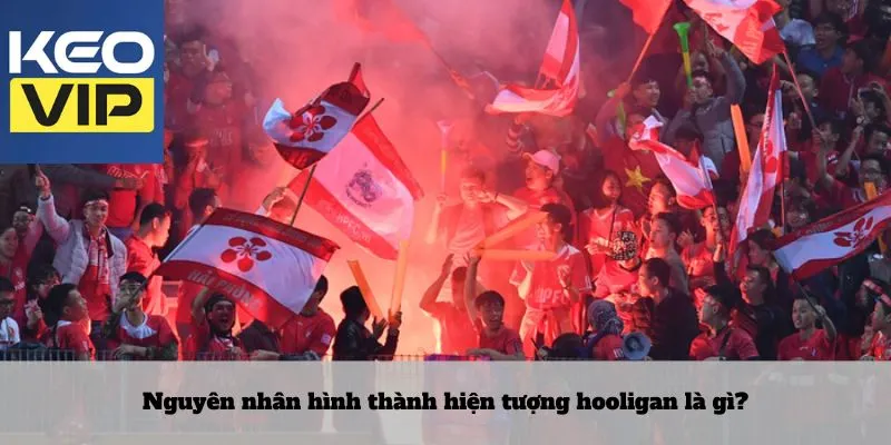 Nguyên nhân hình thành hiện tượng hooligan là gì?