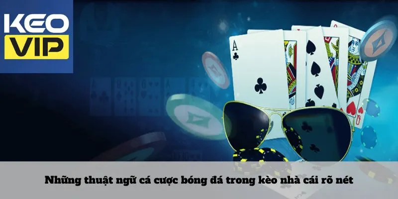 Những thuật ngữ cá cược bóng đá trong kèo nhà cái rõ nét