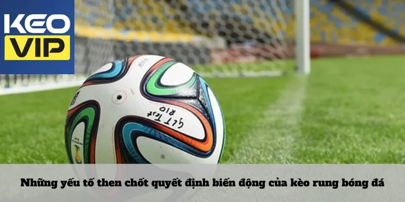 Những yếu tố then chốt quyết định biến động của kèo rung bóng đá
