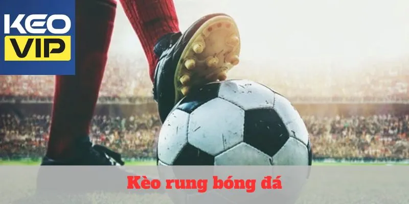 Kèo rung bóng đá