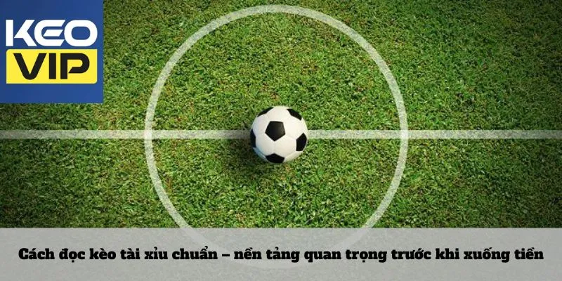 Cách đọc kèo tài xỉu chuẩn – nền tảng quan trọng trước khi xuống tiền
