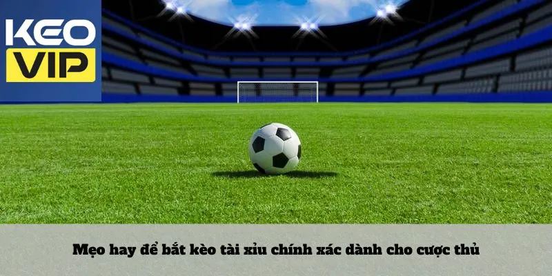 Mẹo hay để bắt kèo tài xỉu chính xác dành cho cược thủ