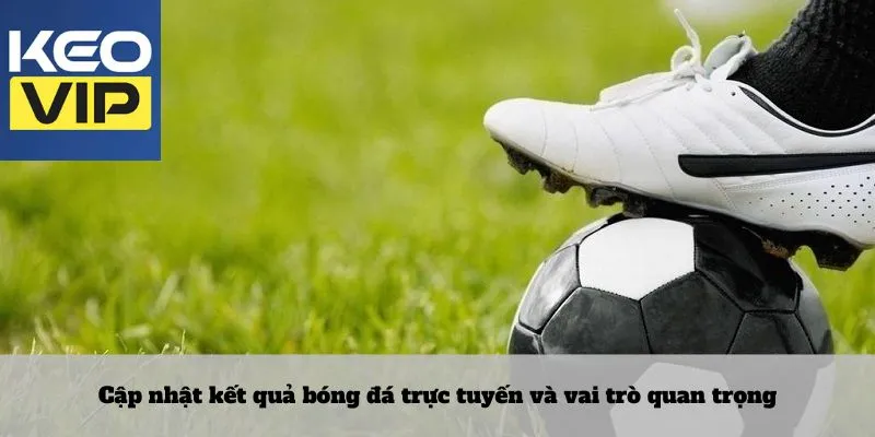 Cập nhật kết quả bóng đá trực tuyến và vai trò quan trọng