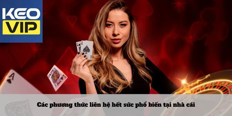 Các phương thức liên hệ hết sức phổ biến tại nhà cái