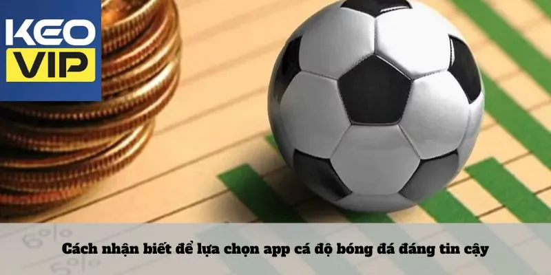 Cách nhận biết để lựa chọn app cá độ bóng đá đáng tin cậy