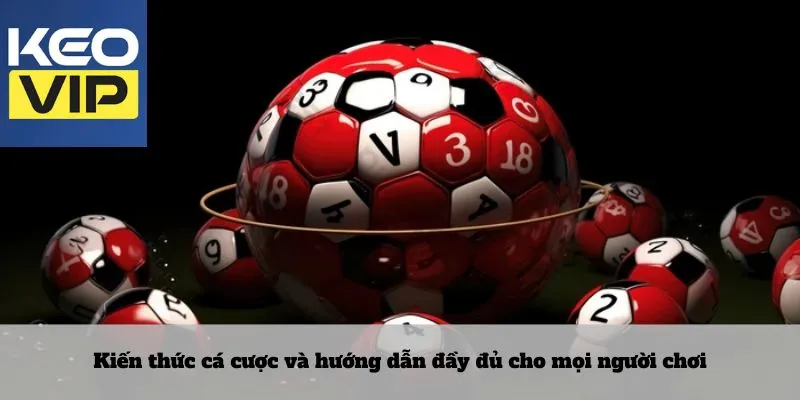 Giới thiệu chi tiết về chúng tôi một cách tốt nhất 2 Kiến thức cá cược và hướng dẫn đầy đủ cho mọi người chơi