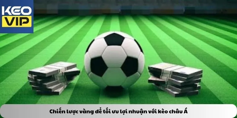 Chiến lược vàng để tối ưu lợi nhuận với kèo châu Á